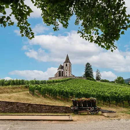 Voyage En Alsace Chez Gaby Сasa de vacaciones *