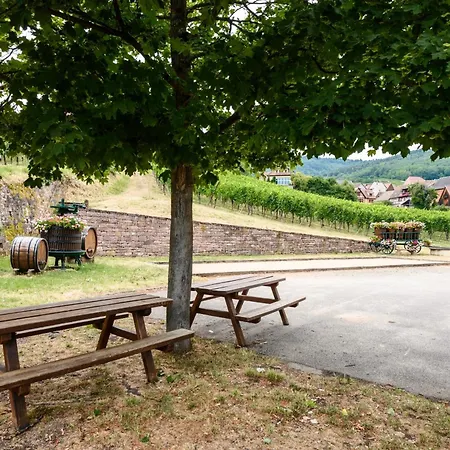 Voyage En Alsace Chez Gaby * Hunawihr